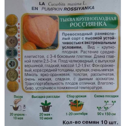 Тыква Россиянка