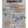Астра Джевеластер Дип Парпл
