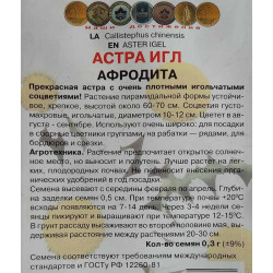 Астра игл Афродита