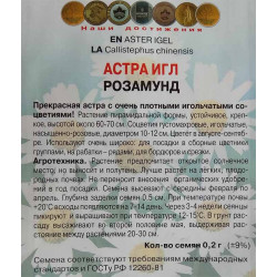 Астра игл Розамунд