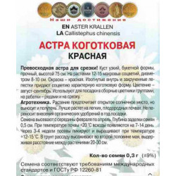 Астра коготковая Красная