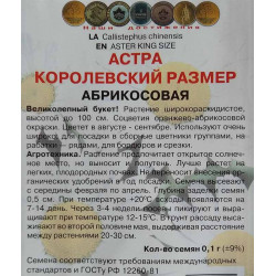 Астра королевский размер Абрикосовая