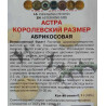 Астра королевский размер Абрикосовая
