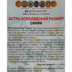 Астра королевский размер Синяя