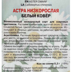 Астра низкорослая Белый ковер