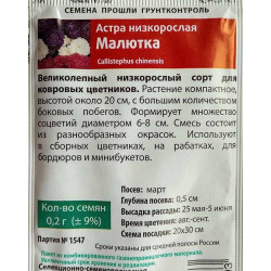 Астра низкорослая Малютка