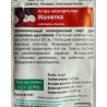 Астра низкорослая Малютка