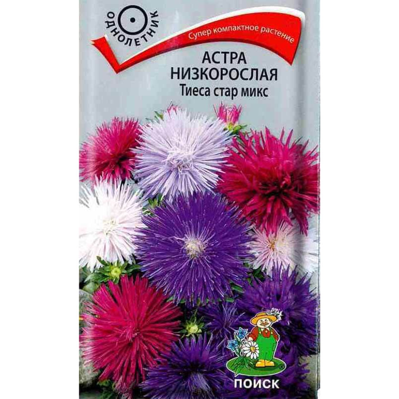 Астра низкорослая Тиеса стар микс