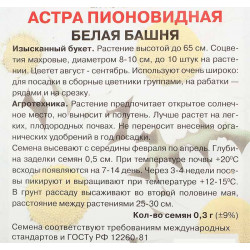 Астра пионовидная Белая башня