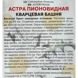 Астра пионовидная Кварцевая башня