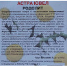 Астра ювел Родолит