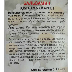 Бальзамин Том Самб скарлет