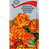 Бархатцы отклоненные махровые Квин София