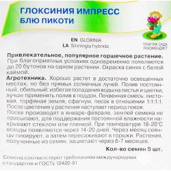 Глоксиния Импресс Блю Пикоти