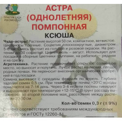 Астра помпонная Ксюша