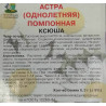 Астра помпонная Ксюша