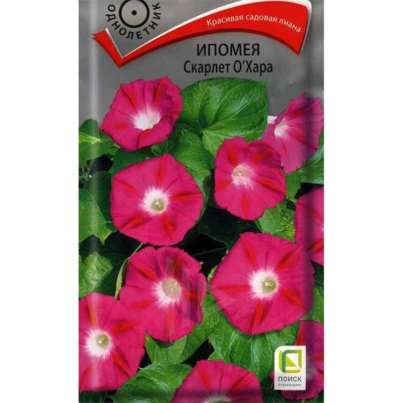 Ипомея Скарлет О`Хара