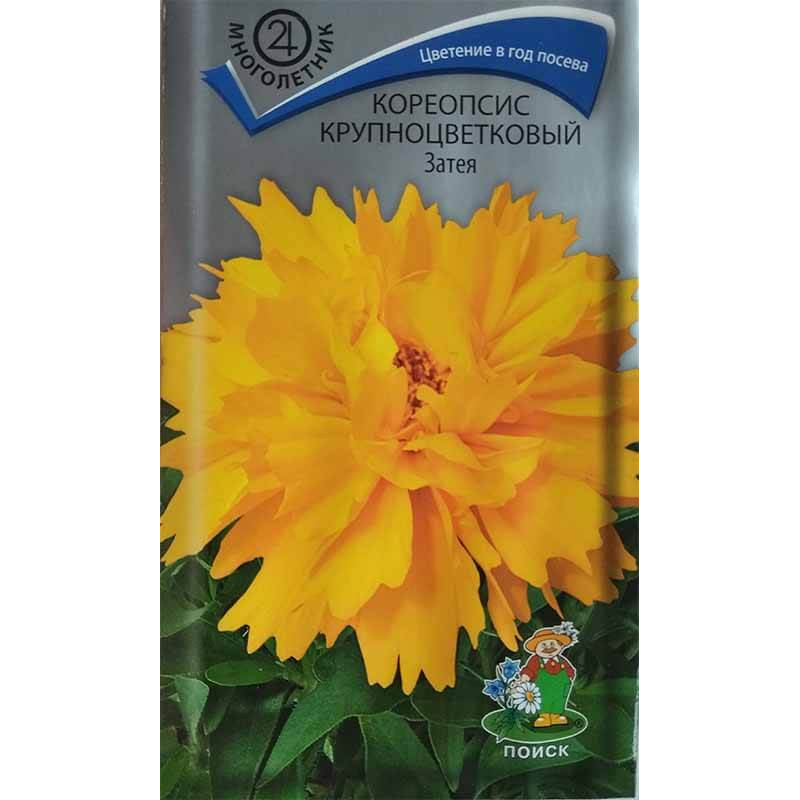 Кореопсис крупноцветковый Затея