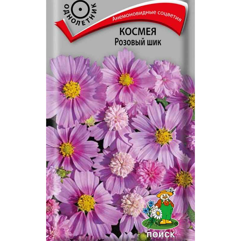 Космея Розовый шик