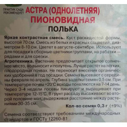 Астра пионовидная Полька