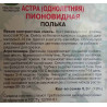 Астра пионовидная Полька