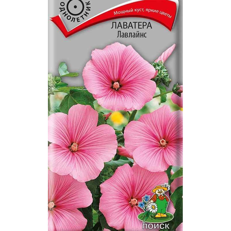 Лаватера Лавлайнс