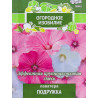 Лаватера Подружка