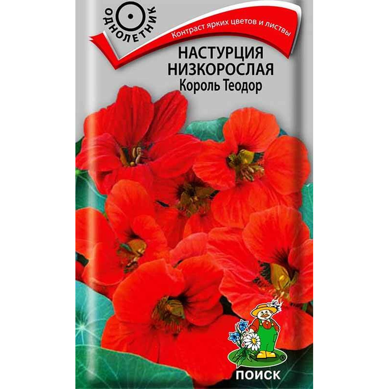 Настурция низкорослая Король Теодор