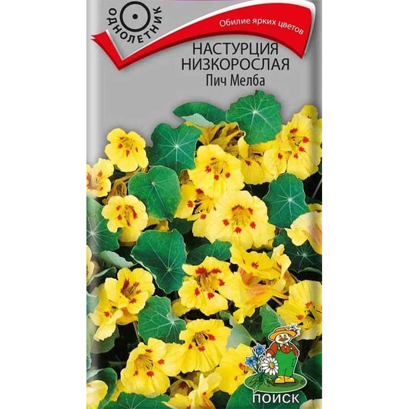 Настурция низкорослая Пич Мелба