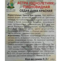 Астра пионовидная Седая дама красная