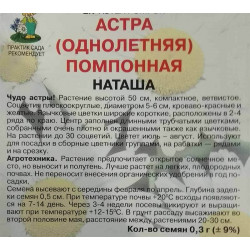 Астра помпонная Наташа