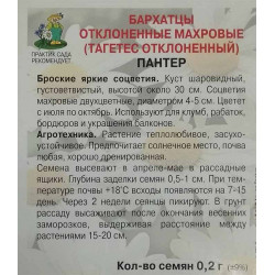 Бархатцы отклоненные махровые Пантер