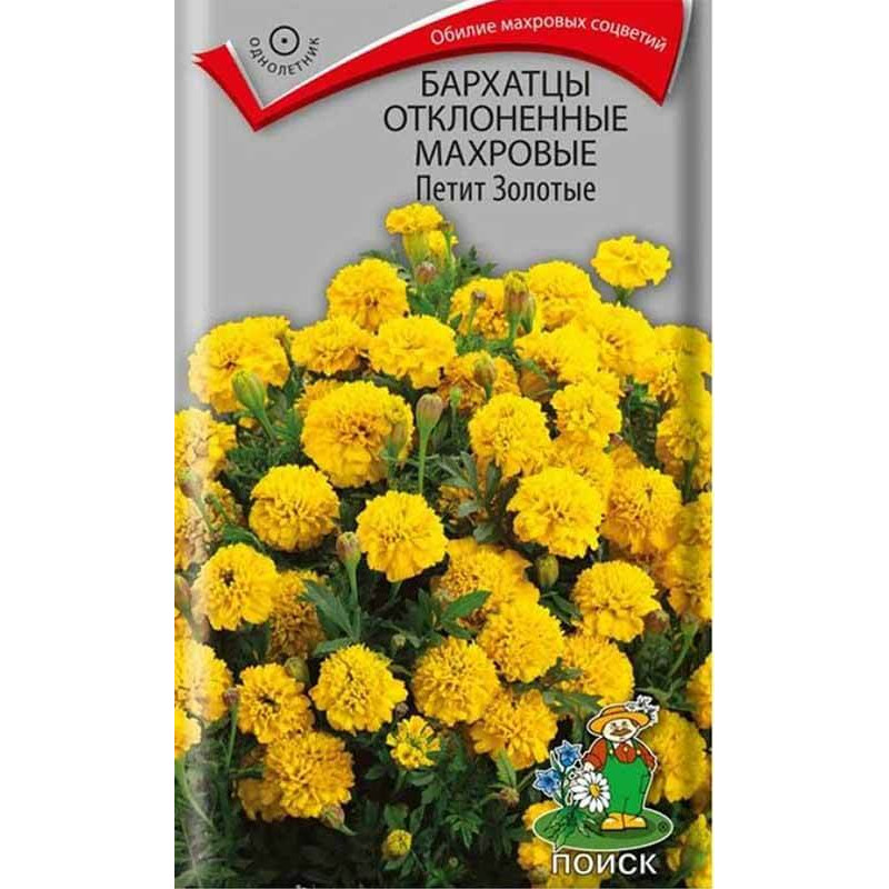 Бархатцы отклоненные махровые Петит золотые