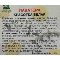 Лаватера Красотка белая