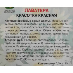 Лаватера Красотка красная