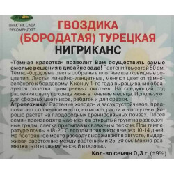 Гвоздика Турецкая Нигриканс
