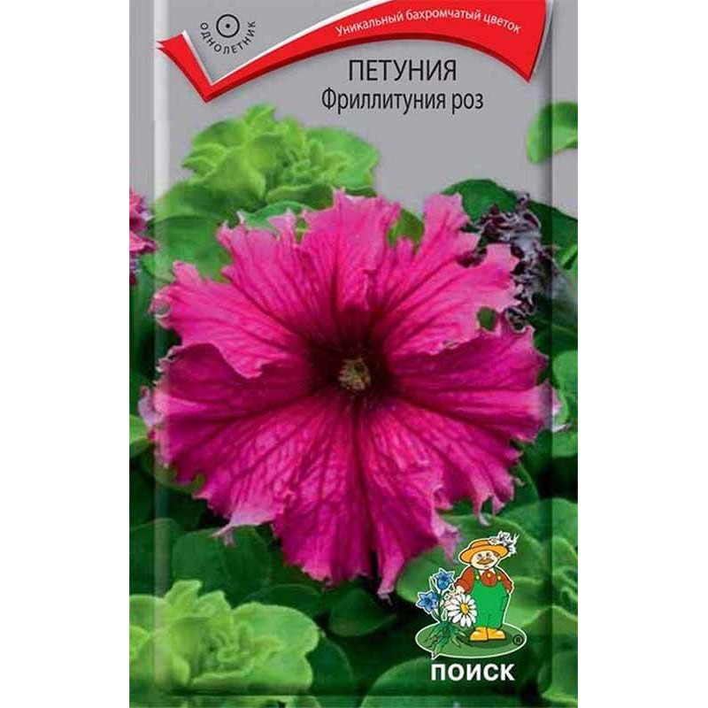 Петуния Фриллитуния роз