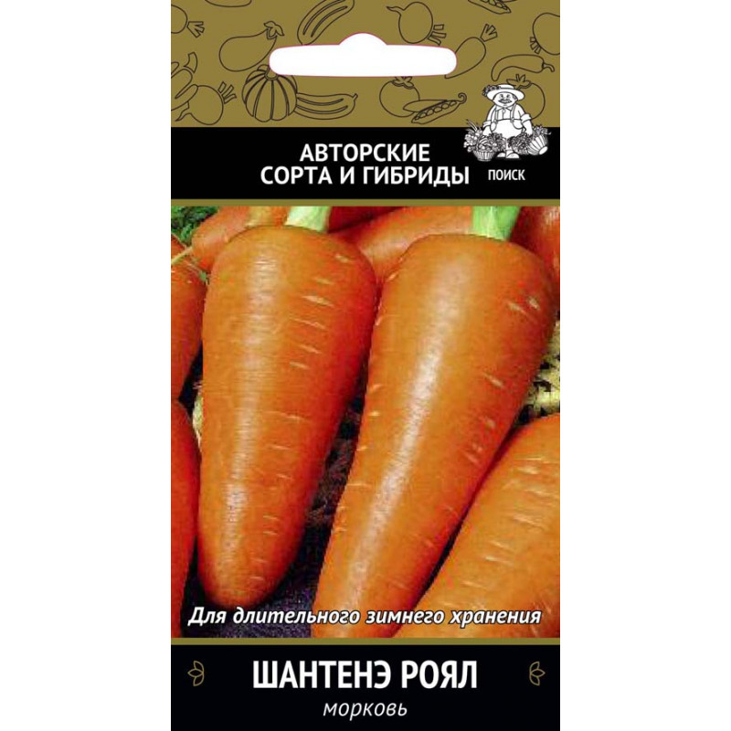 Морковь Шантенэ Роял