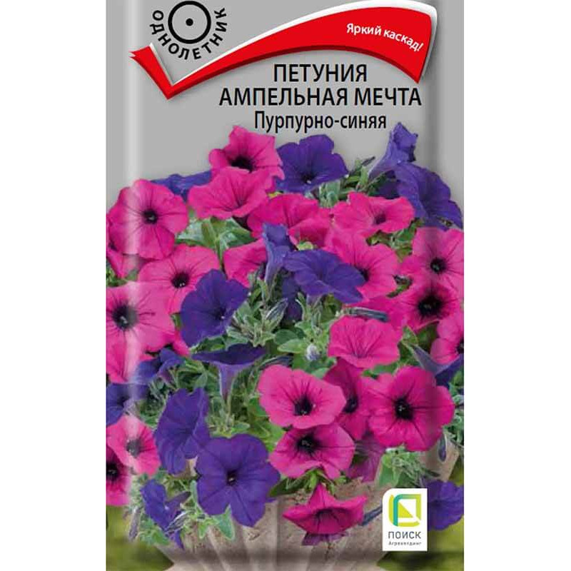 Петуния ампельная Мечта Пурпурно-синяя