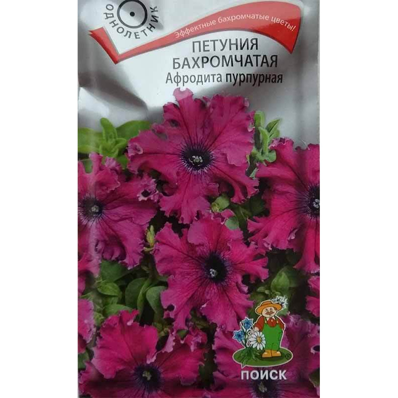 Петуния бахромчатая Афродита пурпурная