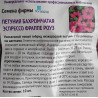 Петуния бахромчатая Эспрессо Фраппе Роуз