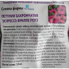 Петуния бахромчатая Эспрессо Фраппе Руби
