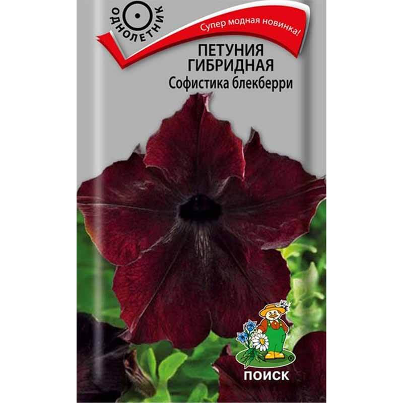 Петуния гибридная Софистика Блекберри