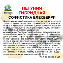 Петуния гибридная Софистика Блекберри