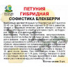 Петуния гибридная Софистика Блекберри