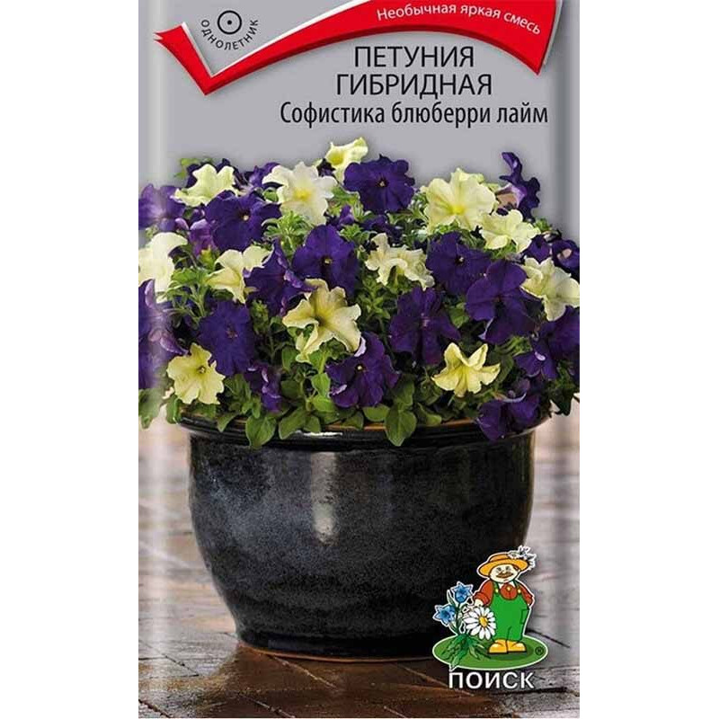 Петуния гибридная Софистика Блюберри лайм