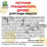 Петуния грандифлора Дримс  Бургунди Пикоти