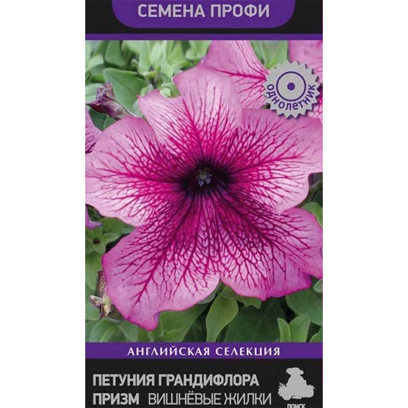 Петуния грандифлора призм Вишневые Жилки