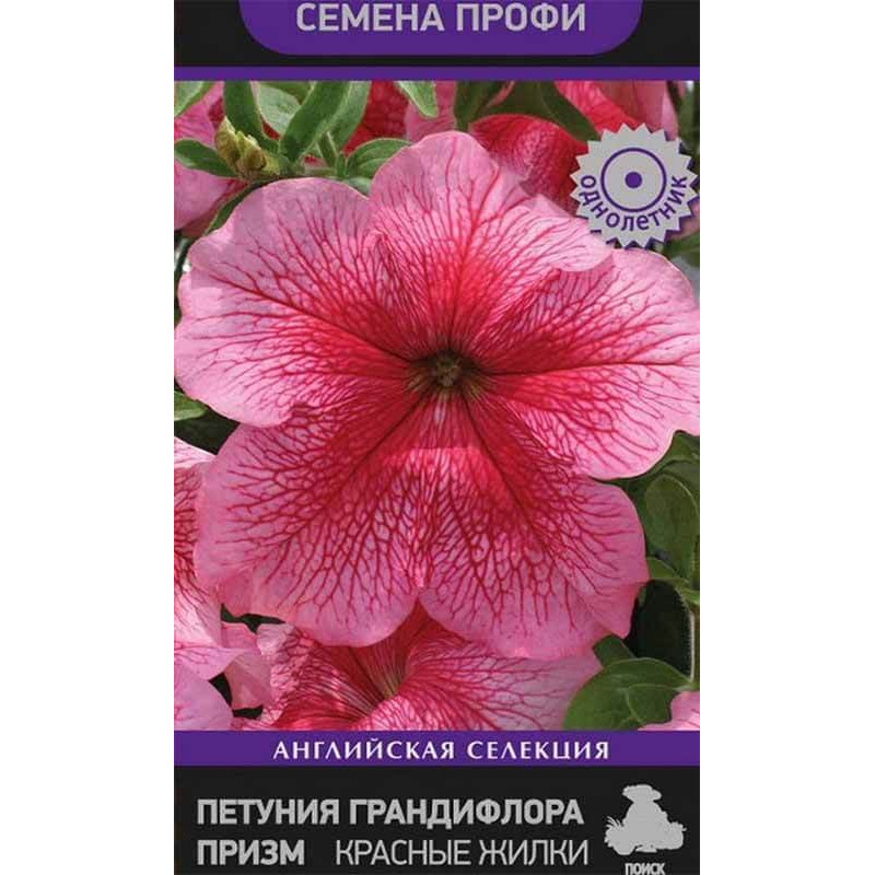 Петуния грандифлора призм Красные Жилки