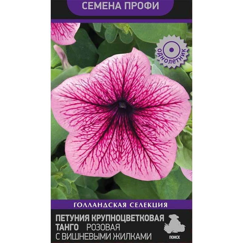 Петуния крупноцветковая Танго Розовая с вишневыми жилками